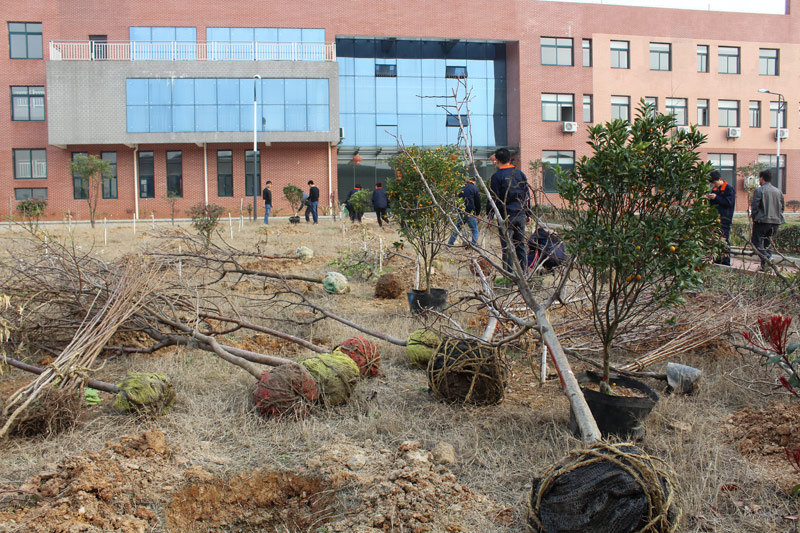 3月12植樹節(jié)，看看竑光人建設(shè)園林單位的勢頭！